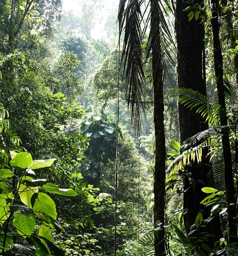 tempisque expeditions