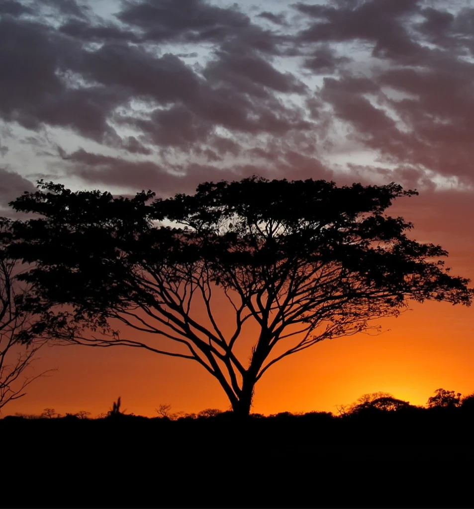 Sunset over Costa Rica's Pacific coast