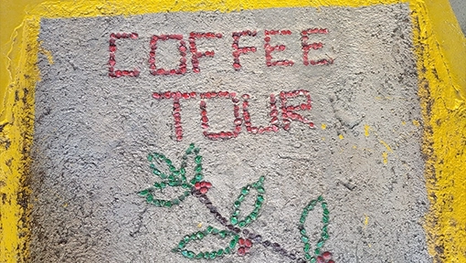 coffee tour