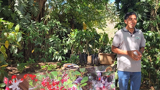 costa rica coffee tour