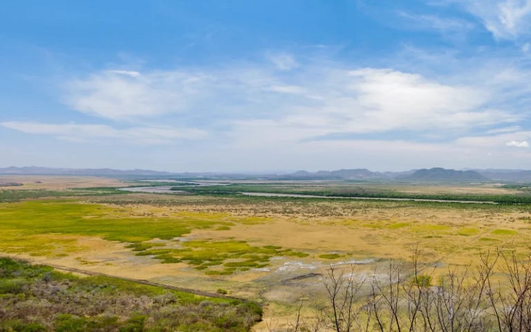 Palo Verde National Park wetland landscape in Guanacaste