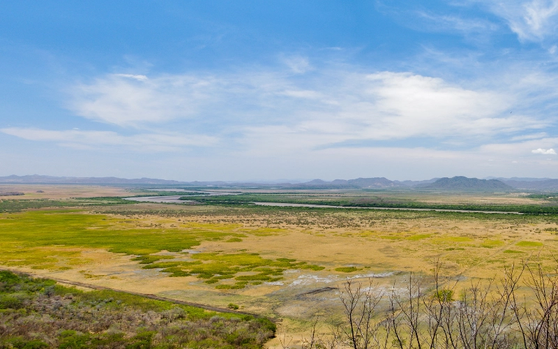 Palo Verde National Park wetland landscape in Guanacaste