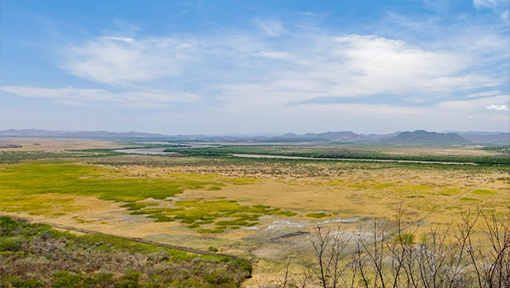 palo verde national park