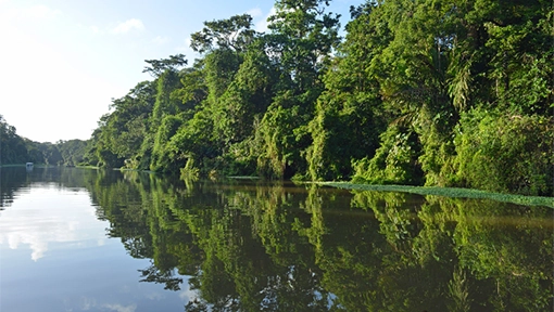 sustainable tourism