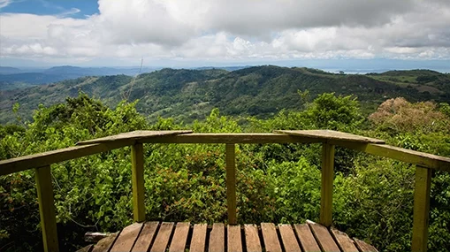 View from Cerro Romo near Monte Alto Forest Reserve
