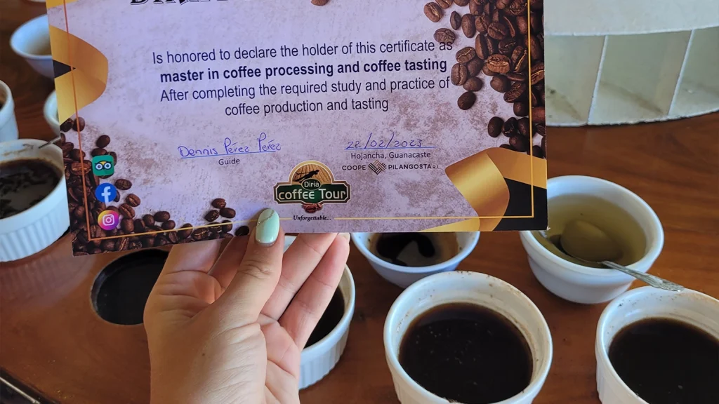 Coffee quality certificate at a Guanacaste coffee farm