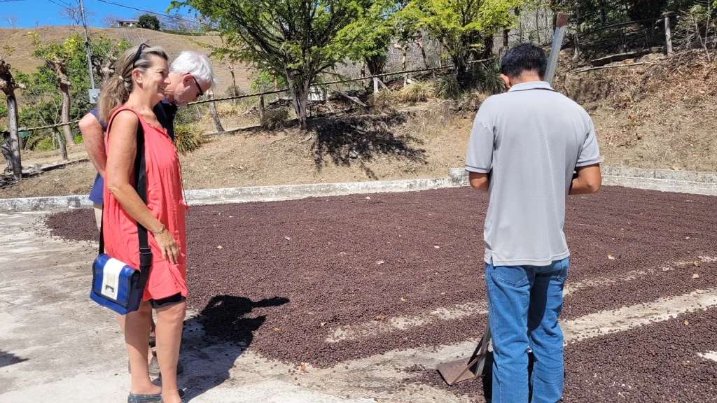 Guided coffee tour in Hojancha, Guanacaste